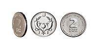 Money in Israel - 2 Shekel coin