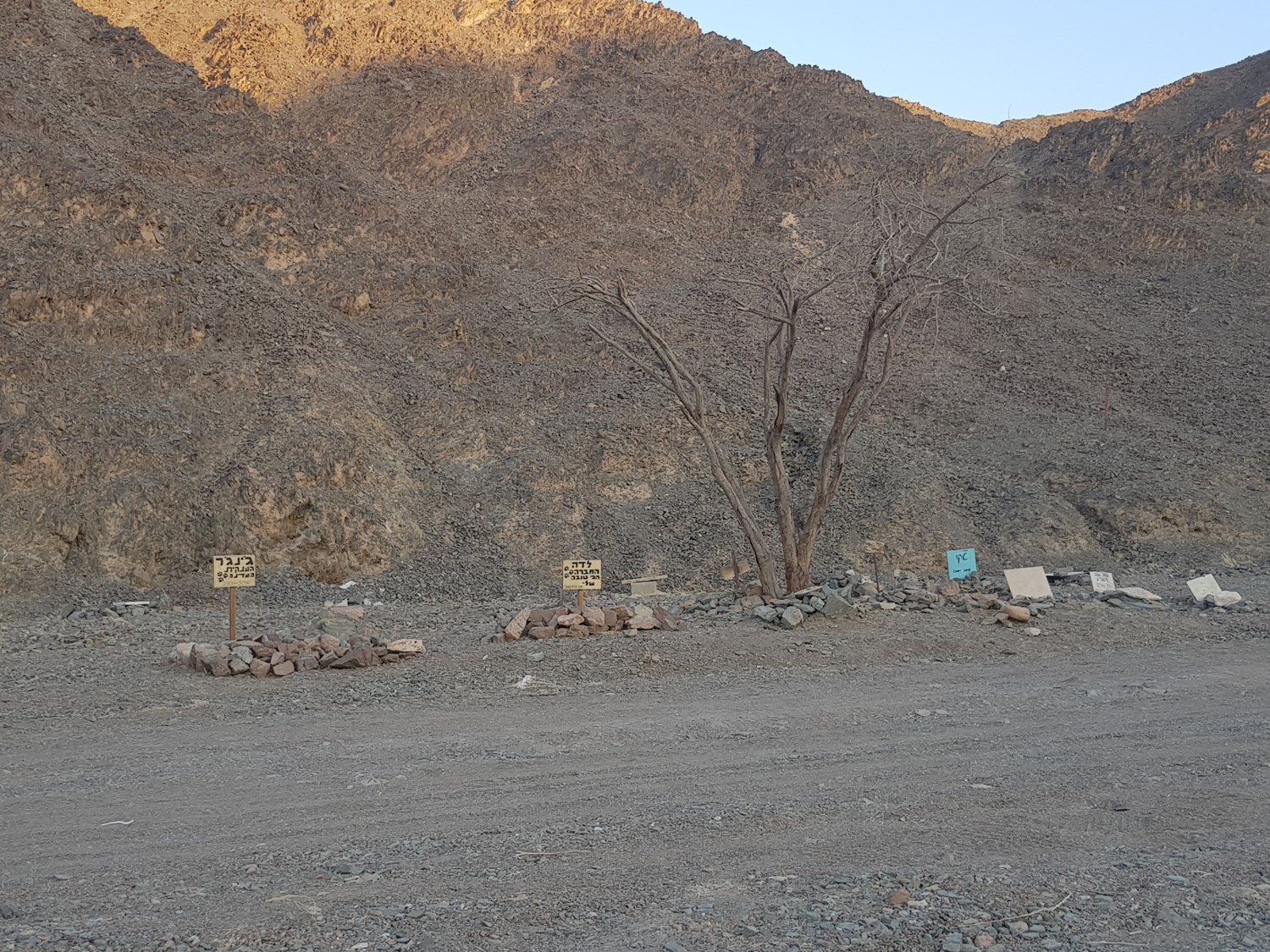 Dog cemetery in the Eilat Mountains