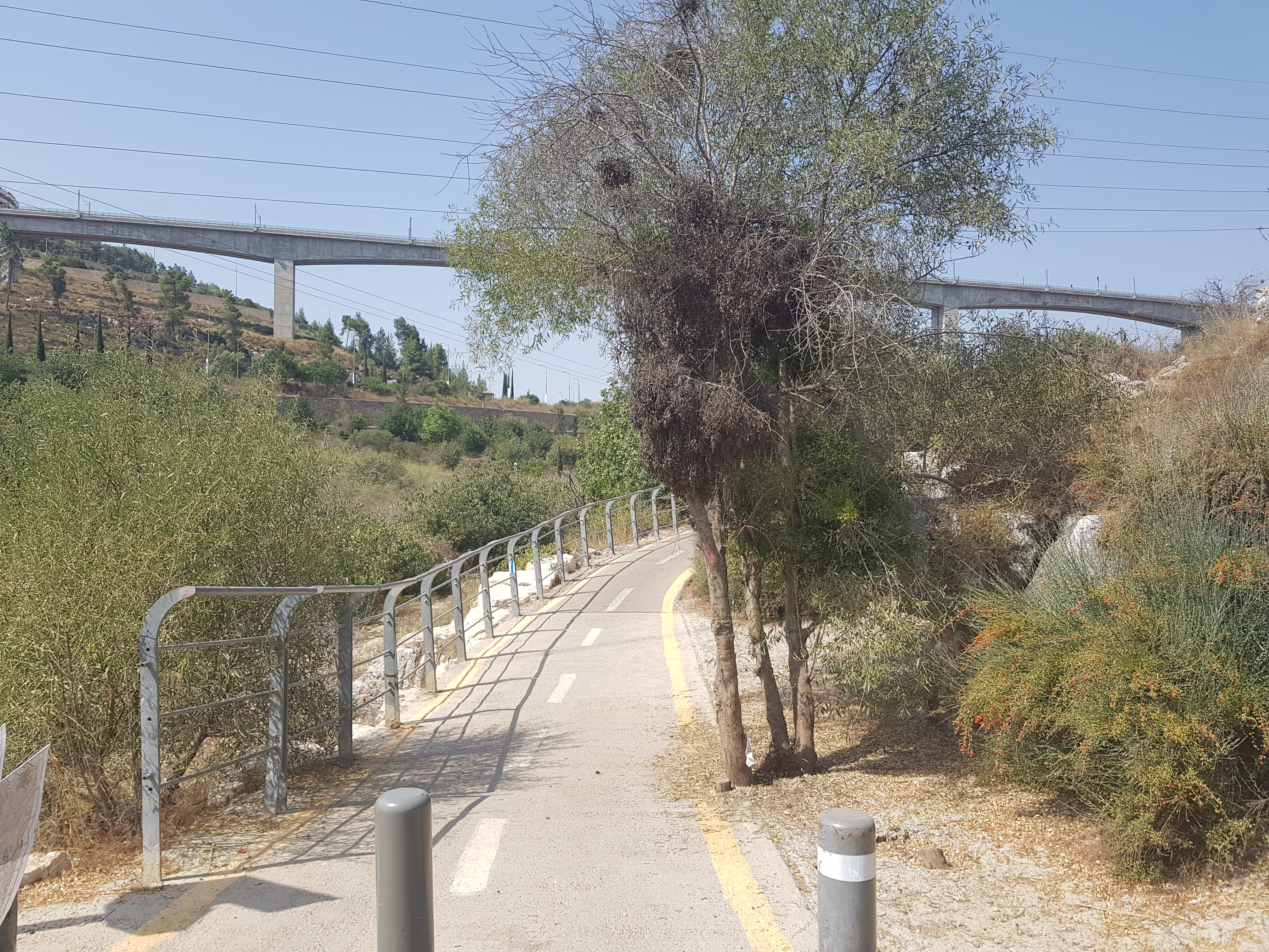 Train Bridge near Jerusalem