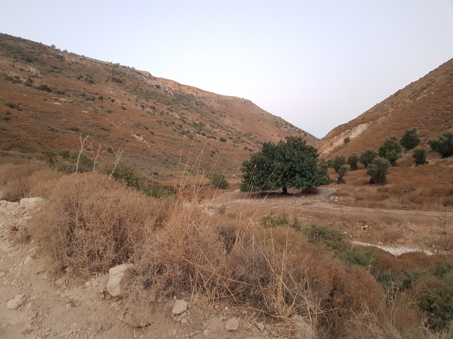 Inside the Dishon Wadi in the Upper Galilee