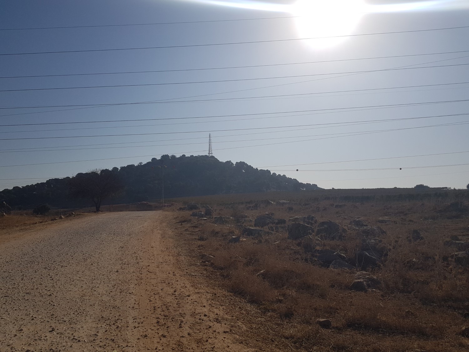 Keren Naftali on the Israel National Trail