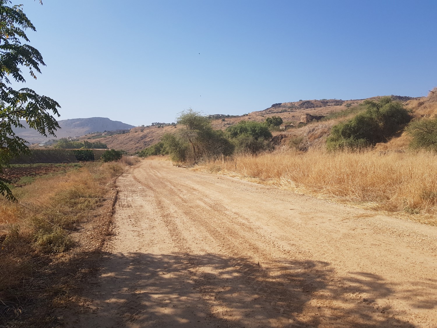 On the way to Ein Nun on the Israel National Trail
