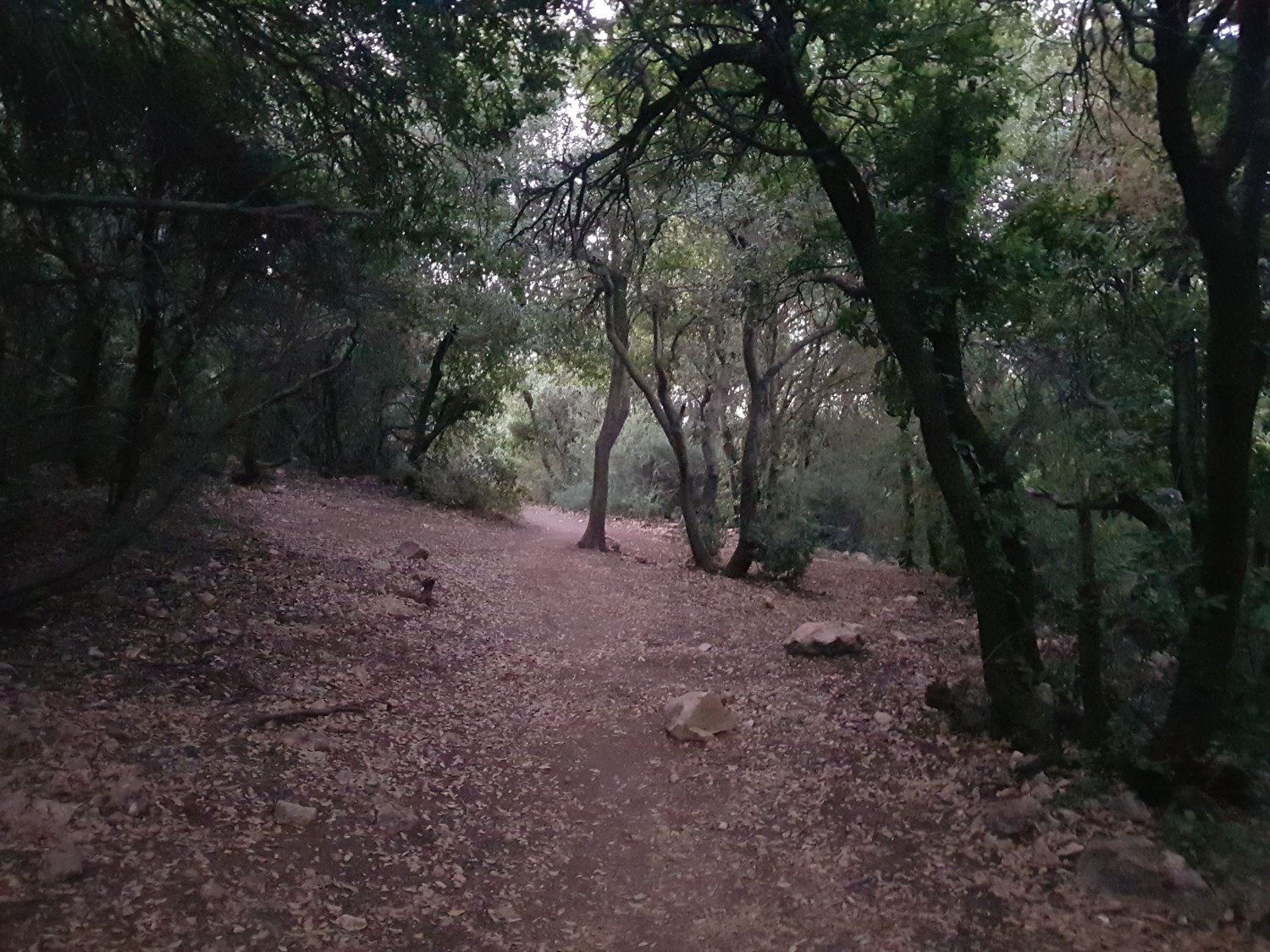 Climbing Mount Meron on the Israel National Trail - Backpack Israel