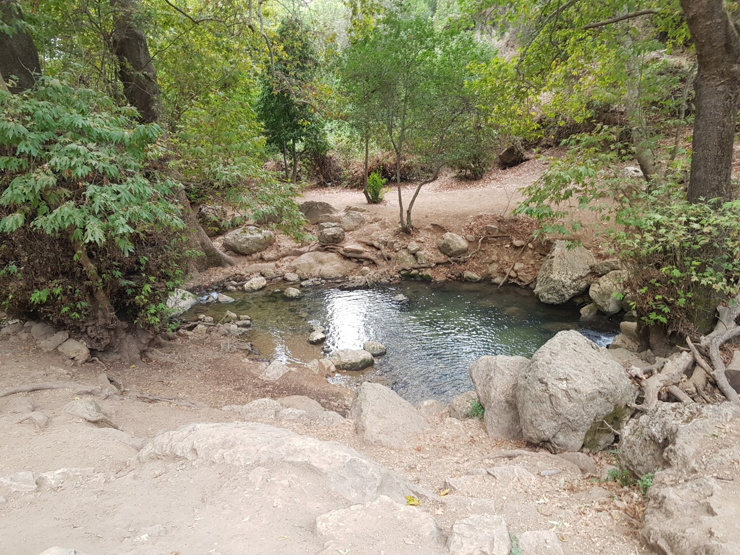 A pool of water, Sechvi Pools