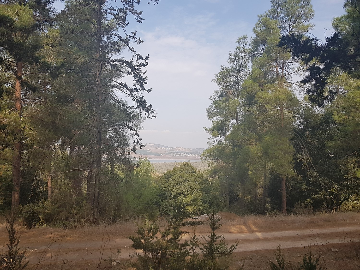 View of the Eshkol Reservoir