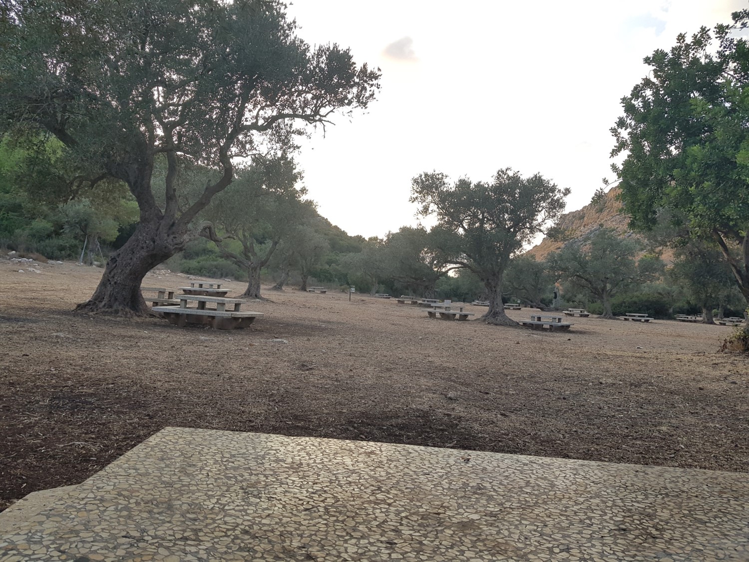 Pitchat Nahal Oren Campground on the Israel National Trail
