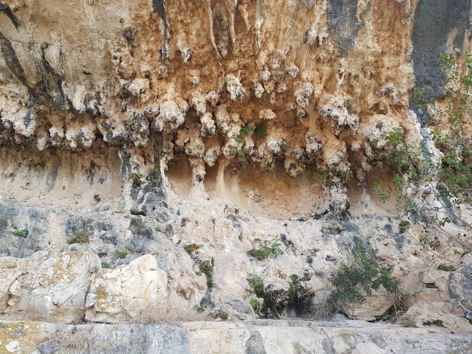 A beautiful wall of natural stone on the Carmel
