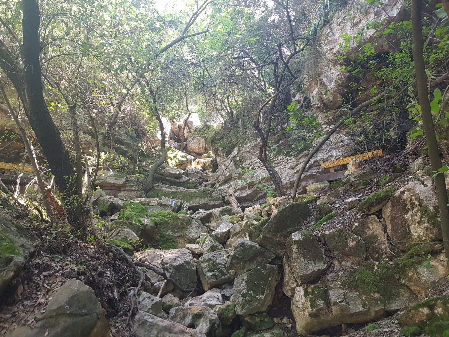 The climb after the memorial on the Israel National Trail