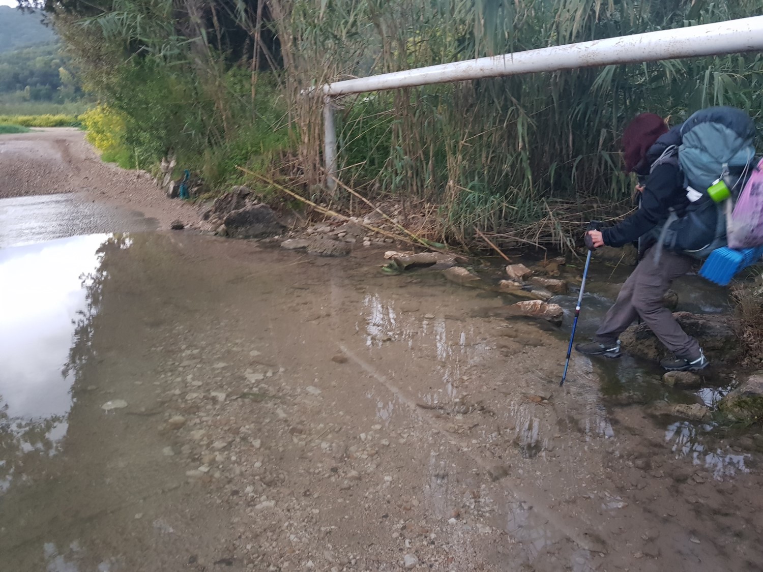 Nahal Tut on the Ramot Menashe Regional Trail