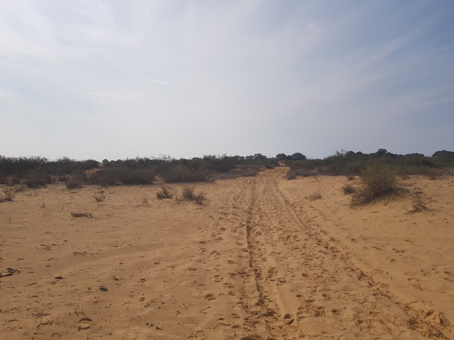 Sand everywhere!