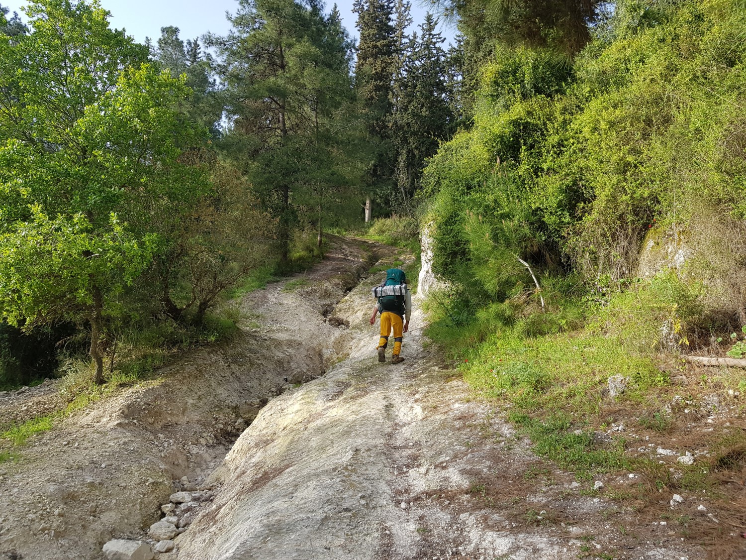 The first steep climb up on the Ramot Menashe Regional Trail