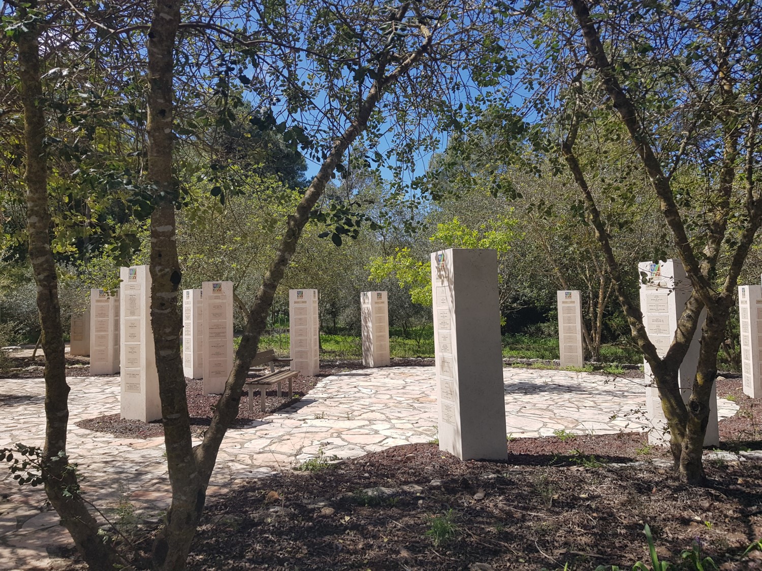 Donors for rehabilitation of the Carmel Forest