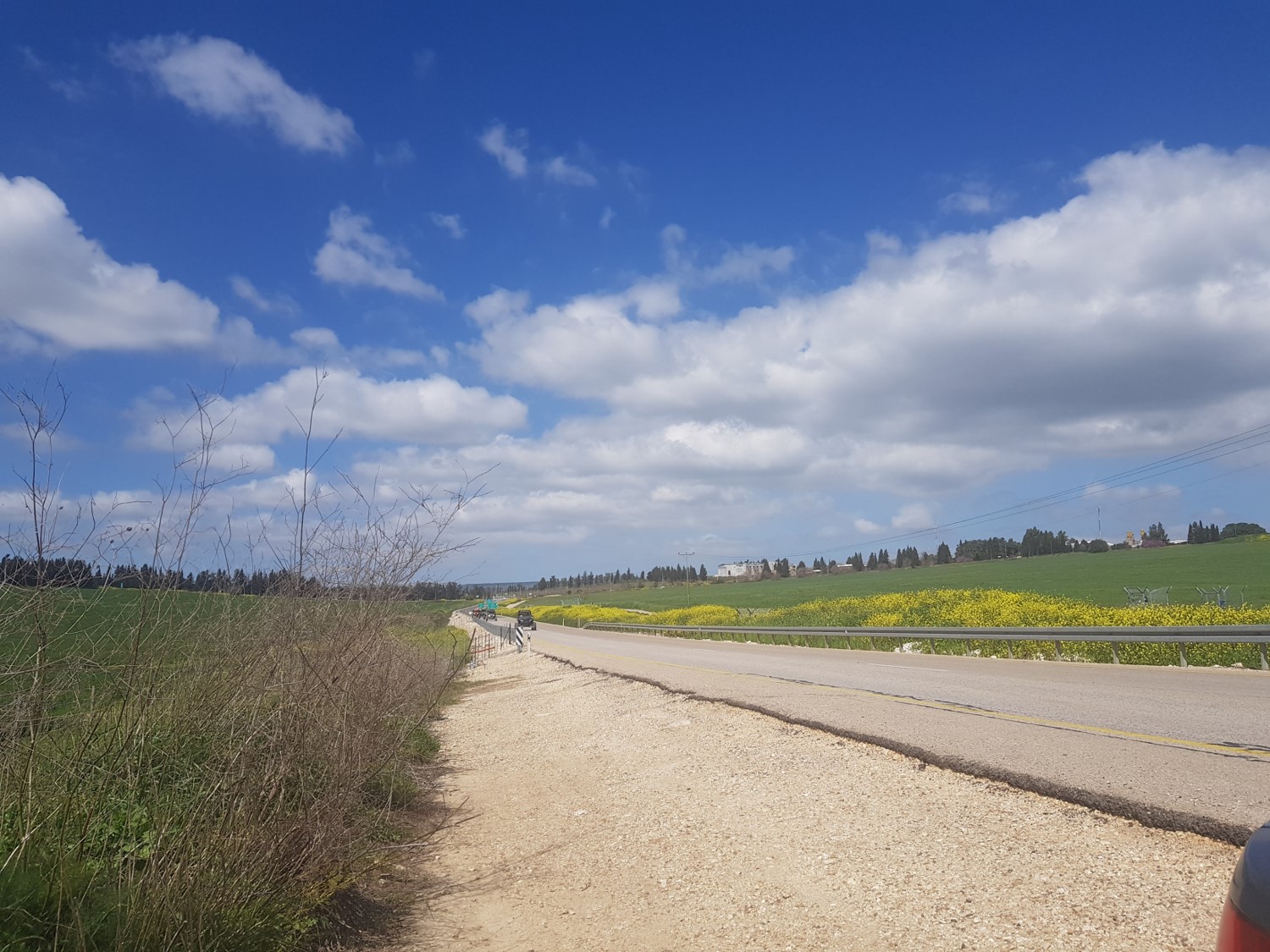 Road crossing on the Ramot Menashe Regional Trail