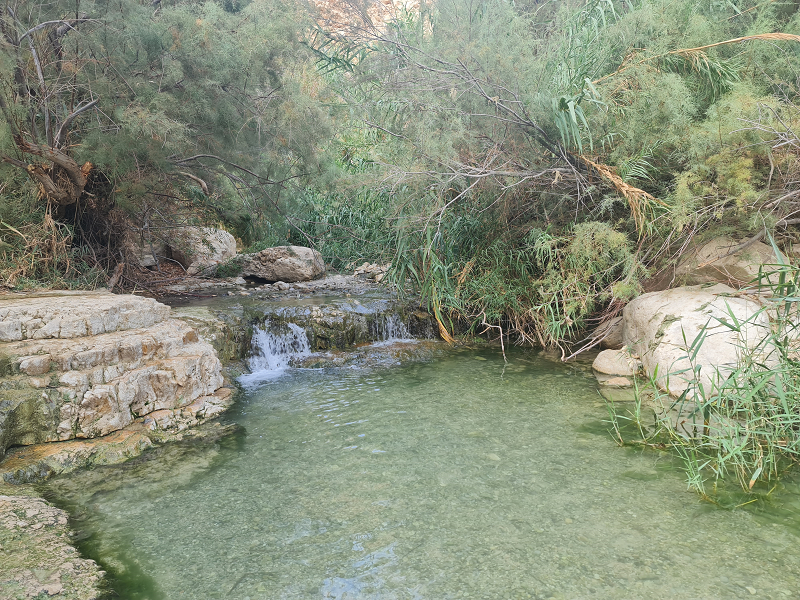 Water pool with waterfall in Nahal Arugot