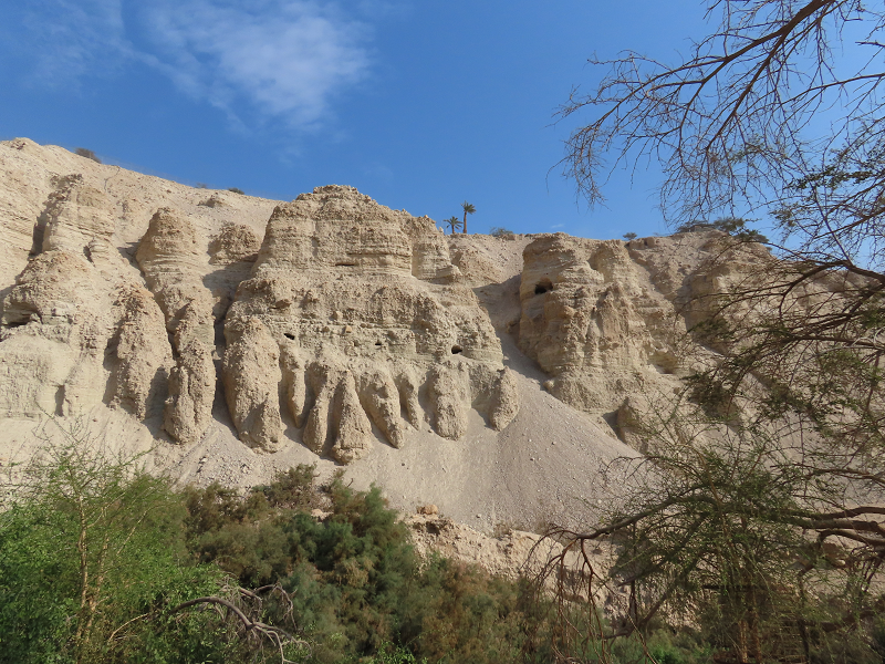The cliff over Nahal David, with caves